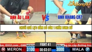 Trận 41 Bồ Gà C6 26/10/2025