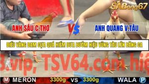 Trận 5 Bồ Gà C5 22/10/2025