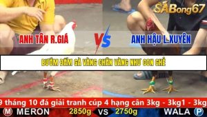 Trận 5 Bồ Gà C5 3/10/2025