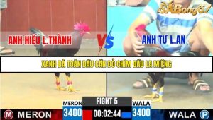 Trận 5 Bồ Gà C6 14/10/2025