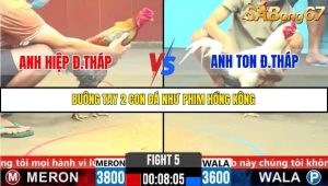 Trận 5 Bồ Gà C6 28/10/2025