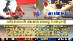 Trận 6 Bồ Gà C5 16/10/2025