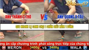 Trận 6 Bồ Gà C5 9/10/2025