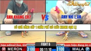 Trận 6 Bồ Gà C6 26/10/2025