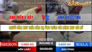 Trận 6 Bồ Gà Tonhon 10/10/2025