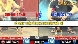 Trận 7 Bồ Gà C6 29/10/2025