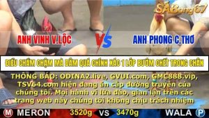 Trận 8 Bồ Gà C5 16/10/2025