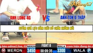 Trận 8 Bồ Gà C6 31/10/2025