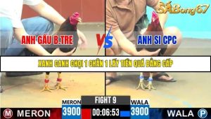 Trận 9 Bồ Gà C6 10/10/2025