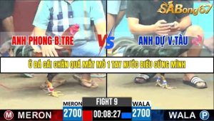 Trận 9 Bồ Gà C6 9/10/2025