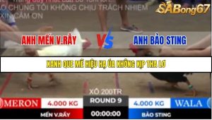 Trận 9 Bồ Gà Tonhon 10/10/2025