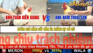 Trận 14 Bồ Gà CPC5 22/11/2025