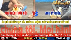 Trận 14 Bồ Gà CPC5 23/11/2025