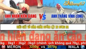 Trận 17 Bồ Gà CPC5 22/11/2025