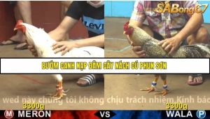 Trận 18 Bồ Gà CPC4 22/11/2025