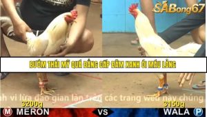 Trận 19 Bồ Gà CPC4 22/11/2025