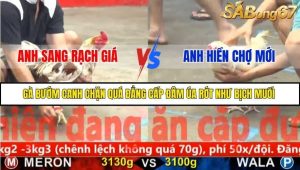Trận 19 Bồ Gà CPC5 23/11/2025