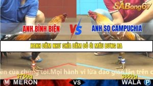 Trận 2 Bồ Gà CPC4 7/11/2025