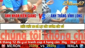 Trận 20 Bồ Gà CPC5 22/11/2025
