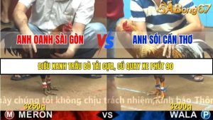 Trận 21 Bồ Gà CPC4 22/11/2025