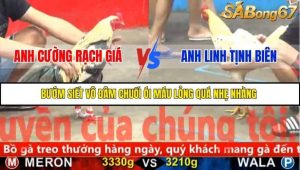 Trận 21 Bồ Gà CPC5 22/11/2025