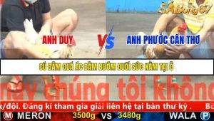 Trận 22 Bồ Gà CPC5 22/11/2025