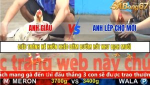 Trận 24 Bồ Gà CPC5 22/11/2025