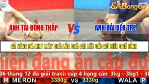 Trận 24 Bồ Gà CPC5 23/11/2025