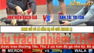 Trận 25 Bồ Gà CPC5 22/11/2025