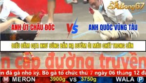 Trận 25 Bồ Gà CPC5 23/11/2025