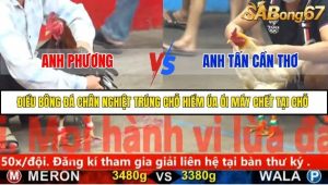 Trận 26 Bồ Gà CPC5 22/11/2025