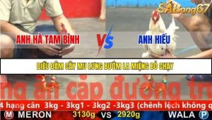 Trận 28 Bồ Gà CPC5 23/11/2025