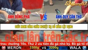 Trận 29 Bồ Gà CPC5 6/11/2025