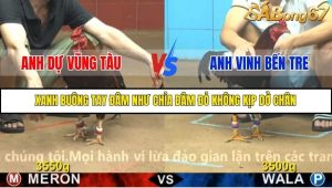 Trận 30 Bồ Gà CPC4 6/11/2025