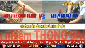 Trận 30 Bồ Gà CPC5 22/11/2025