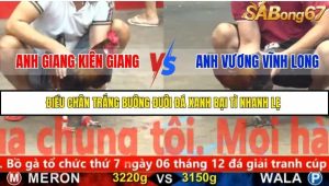 Trận 31 Bồ Gà CPC5 22/11/2025