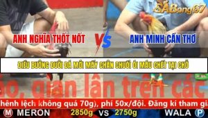 Trận 36 Bồ Gà CPC5 22/11/2025