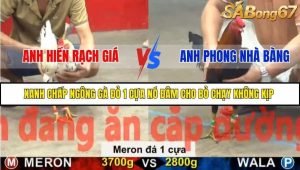 Trận 37 Bồ Gà CPC5 22/11/2025