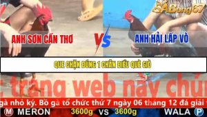 Trận 4 Bồ Gà CPC5 22/11/2025