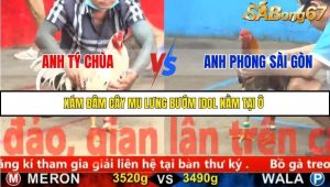 Trận 4 Bồ Gà CPC5 23/11/2025