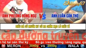 Trận 5 Bồ Gà CPC5 23/11/2025