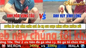 Trận 8 Bồ Gà CPC5 22/11/2025