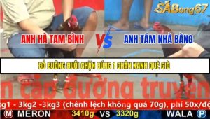 Trận 8 Bồ Gà CPC5 23/11/2025