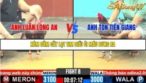 Trận 8 Bồ Gà CPC6 7/11/2025