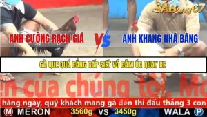 Trận 9 Bồ Gà CPC5 23/11/2025