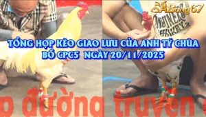 Kèo Giao Lưu Của Anh Tý Chùa Tại Bồ Gà C5