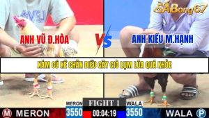 Trận 1 Bồ Gà C3 30/11/2025