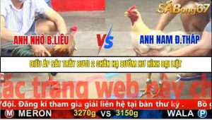 Trận 1 Bồ Gà C5 Ngày 9/11/2025