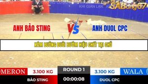 Trận 1 Bồ Gà Tonhon 14/11/2025