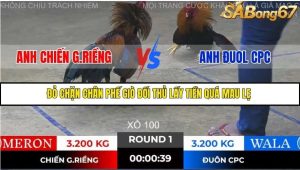 Trận 1 Bồ Gà Tonhon 28/11/2025